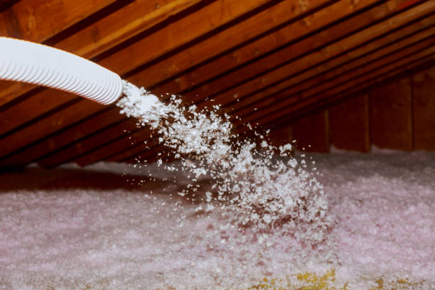 Best Residential Insulation in Springdale, SC